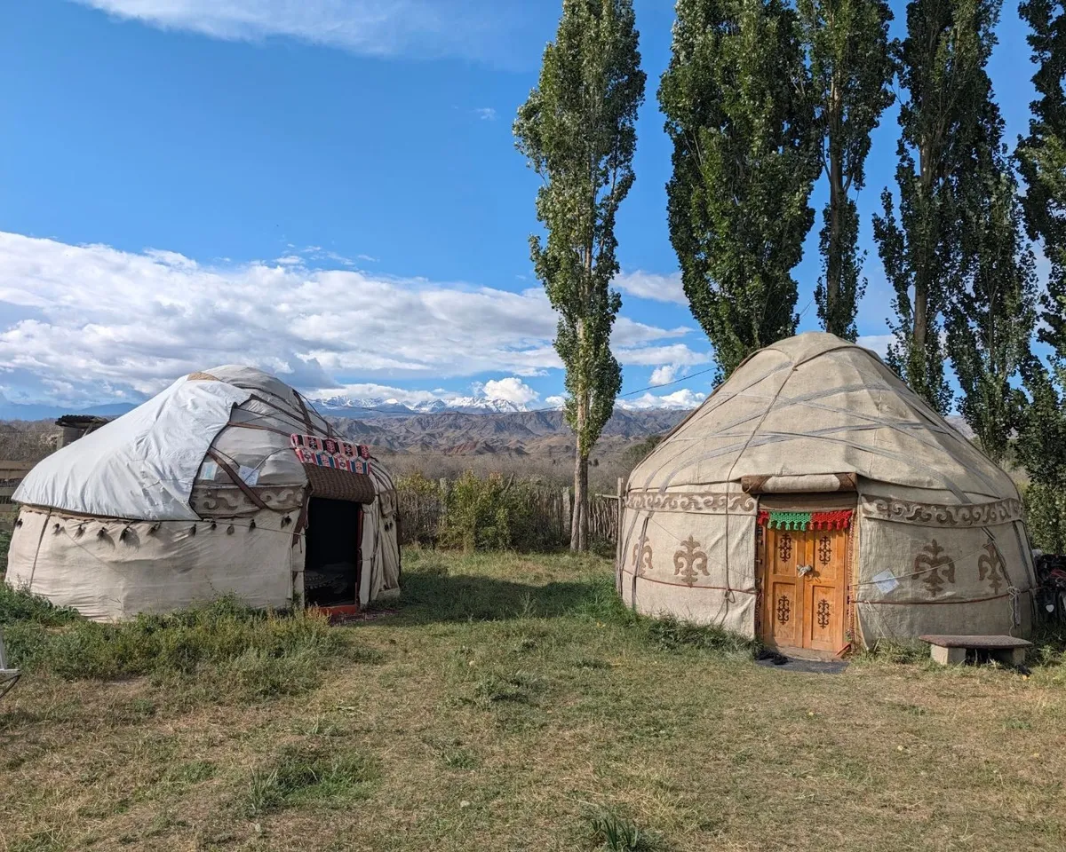 Two yurts on the grass under tall poplars, with snowy mountains on the horizon